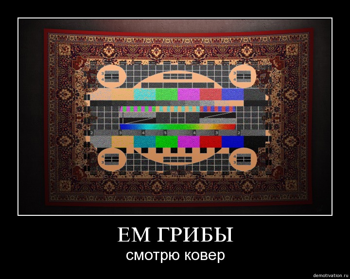 http://kaifolog.ru/uploads/posts/2009-09/1254135645_101.jpg