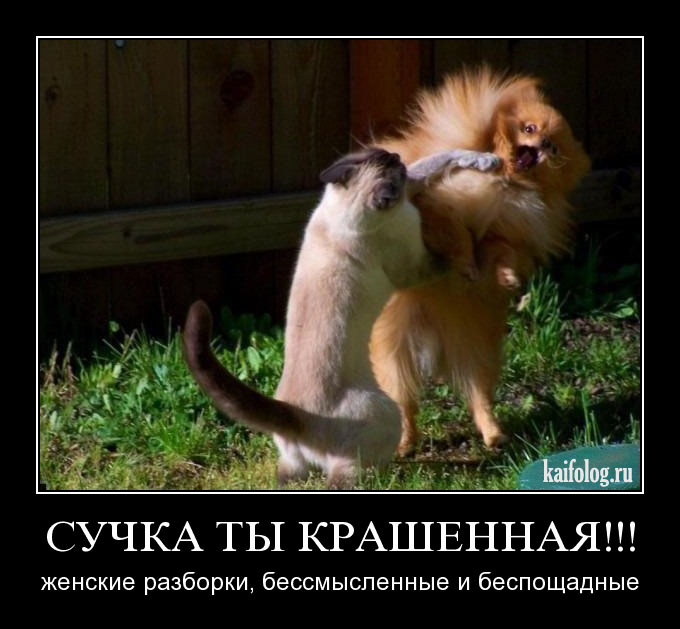 http://kaifolog.ru/uploads/posts/2009-10/1256041581_116.jpg