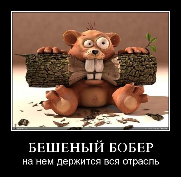 http://kaifolog.ru/uploads/posts/2009-12/1260880939_018.jpg