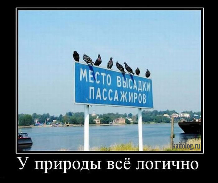 http://kaifolog.ru/uploads/posts/2009-12/1260881048_057.jpg