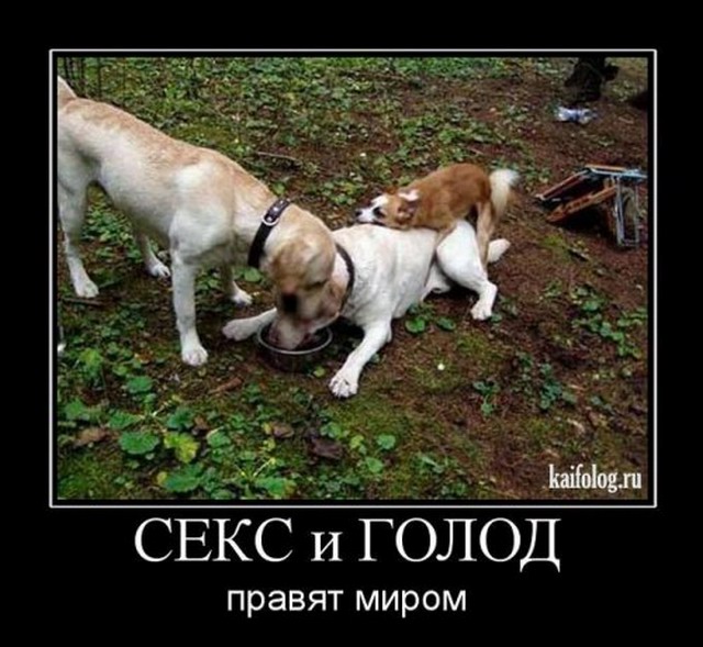 http://kaifolog.ru/uploads/posts/2010-04/thumbs/1271129763_026.jpg