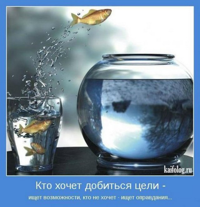 http://kaifolog.ru/uploads/posts/2010-06/thumbs/1275372857_028.jpg