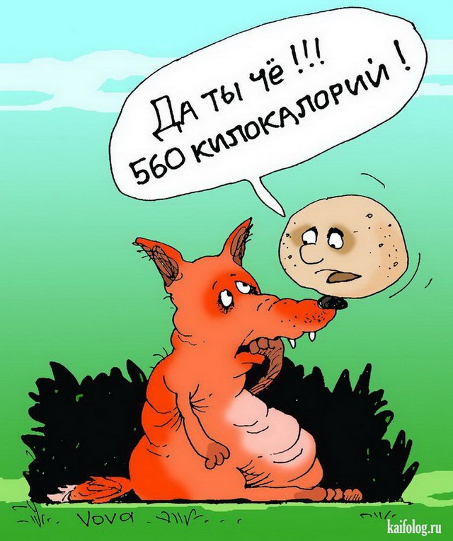 http://kaifolog.ru/uploads/posts/2012-11/thumbs/1353900968_022.jpg