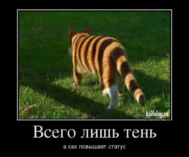 http://kaifolog.ru/uploads/posts/2013-06/thumbs/1371535964_033.jpg