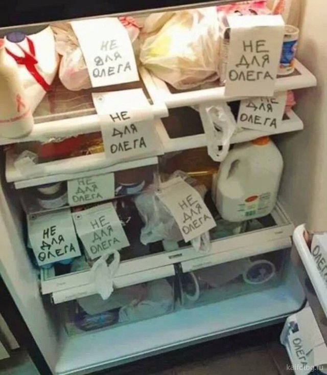 Приколы с холодильниками (50 фото)
