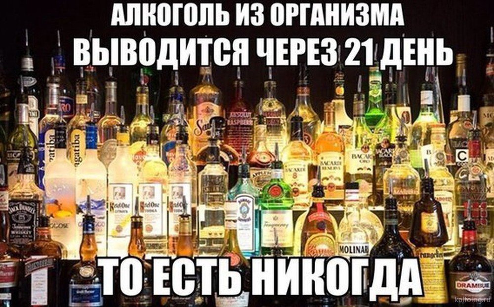 Прикол Фото Алкоголя