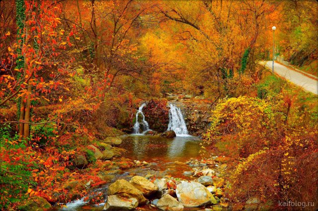 Осенняя красота (35 фото)