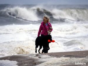 Не все боятся урагана Sandy