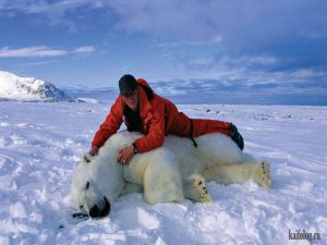 Арктика и Антарктика Пола Никлена