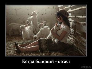 Смешные демотиваторы на разные темы