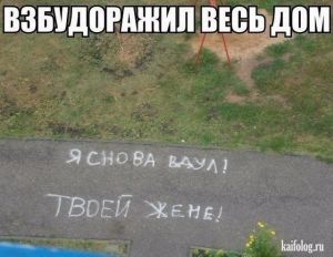 Мудрые цитаты