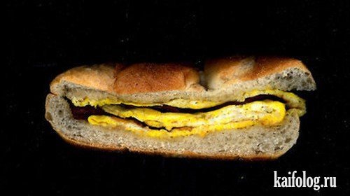 Бутерброды (27 фото)