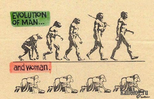 Про эволюцию (20 картинок)