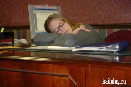 Как надо работать или трудовые будни (40 фото)