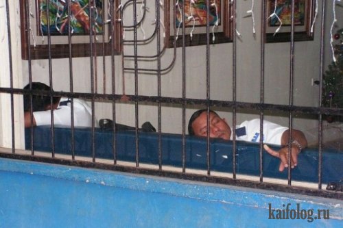 Спящие охранники (12 фото)