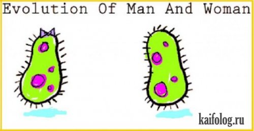 Эволюция мужчины и женщины (13 фото)