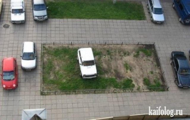 Мастера парковки-3 (60 фото)