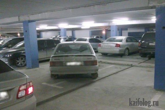 Мастера парковки-3 (60 фото)