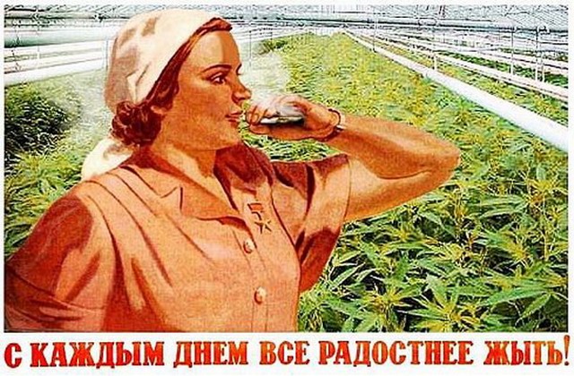 Советские плакаты про коноплю к чему приводит употребление конопли
