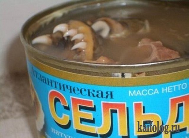 Вкусно жрать по-русски (35 фото)