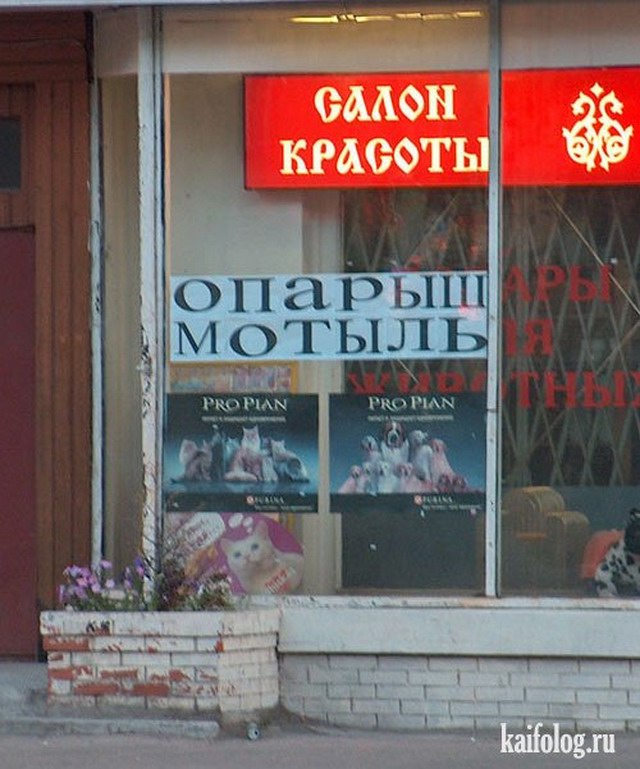Маразмы по-русски или говорящие назания (50 фото)