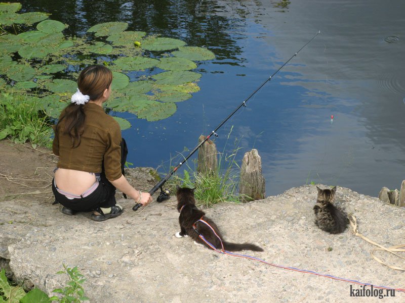 Когда можно идти на рыбалку