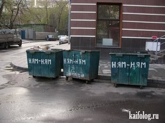Приколы с мусорными баками и урнами (50 фото)