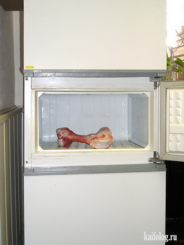 Приколы про холодильники (35 фото)