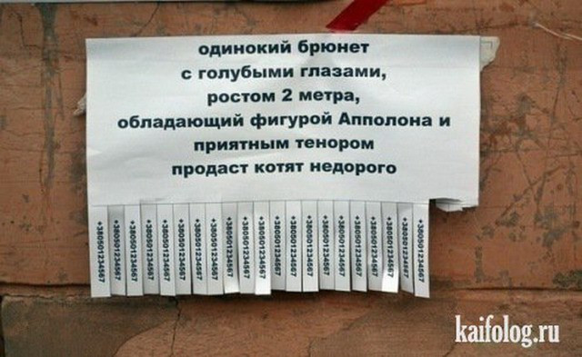 Объявления и надписи по-русски (50 фото)