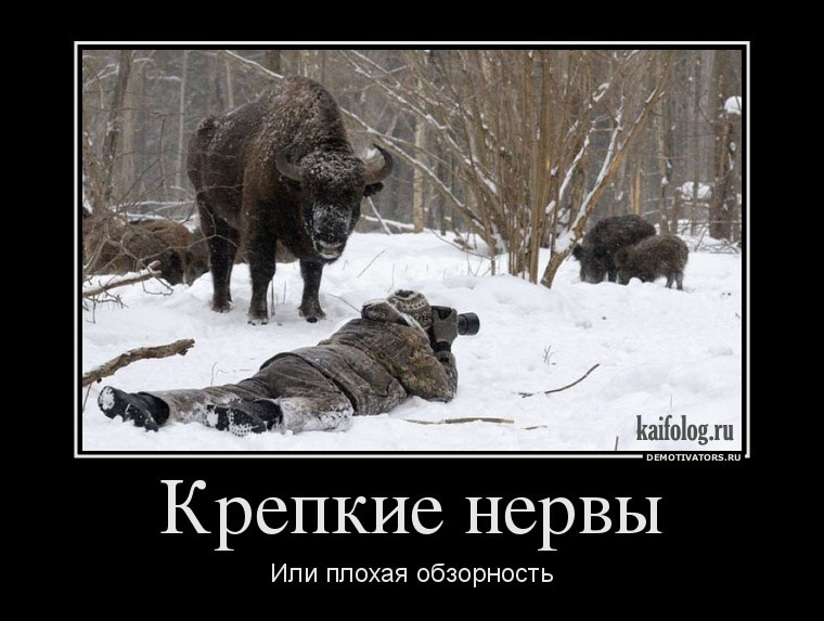 http://kaifolog.ru/uploads/posts/2012-04/1333517726_037.jpg