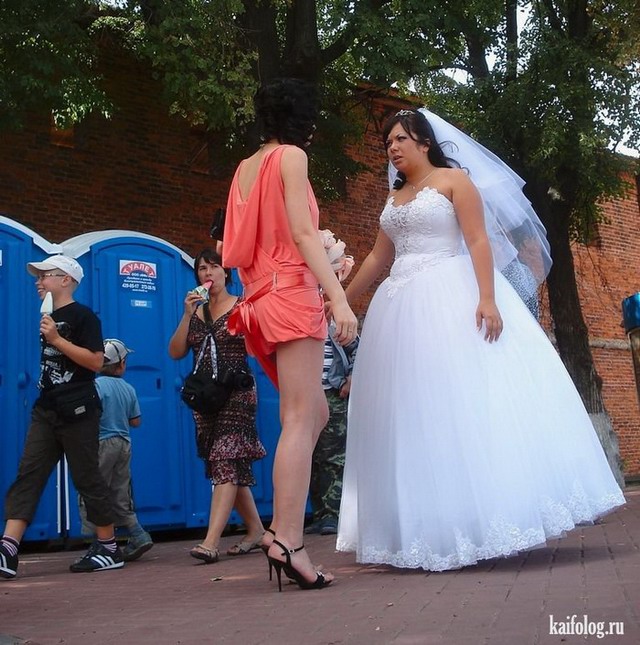 Прикольные фото со свадеб (40 фото и видео)