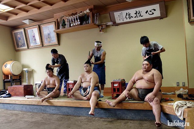 Приколы про сумо (50 фото)