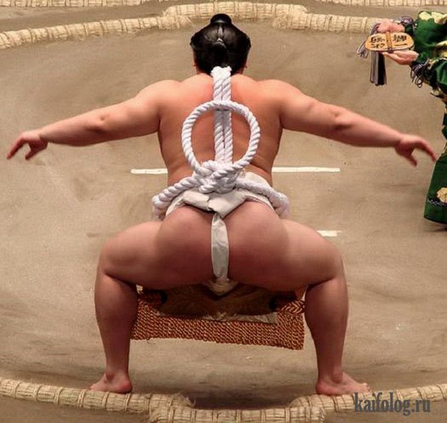 Приколы про сумо (50 фото)