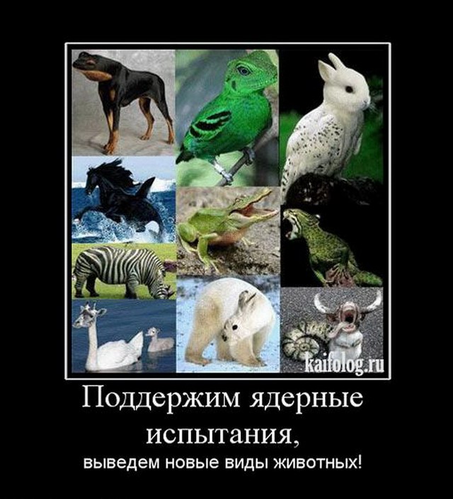 Демотиваторы про животных (55 фото)