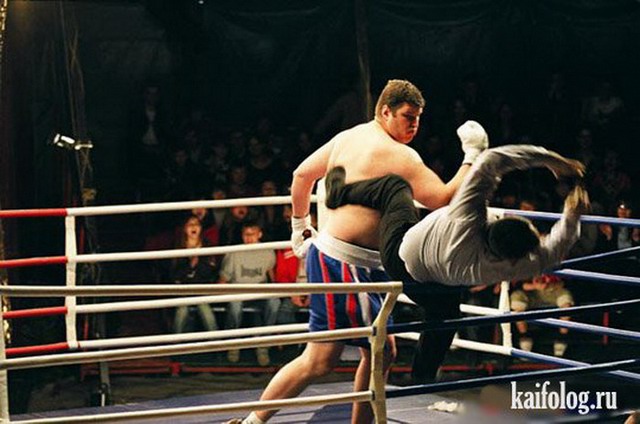 Прикольные боксеры (50 фото)