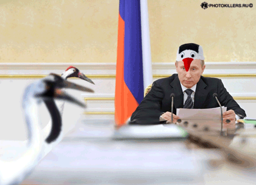 Путин в костюме стерха