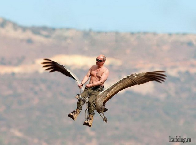 Путин и стерхи (55 картинок)