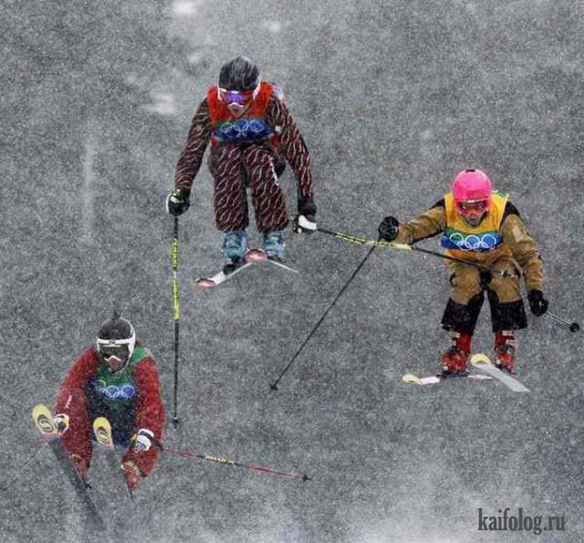 Приколы про лыжников (60 фото)