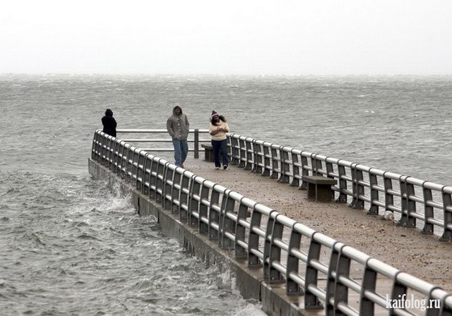 Не все боятся урагана Sandy (60 фото)