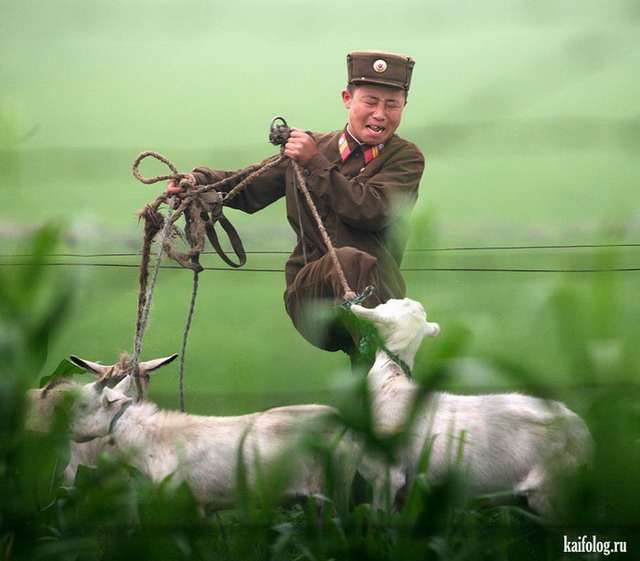 Приколы из Северной Кореи (55 фото)