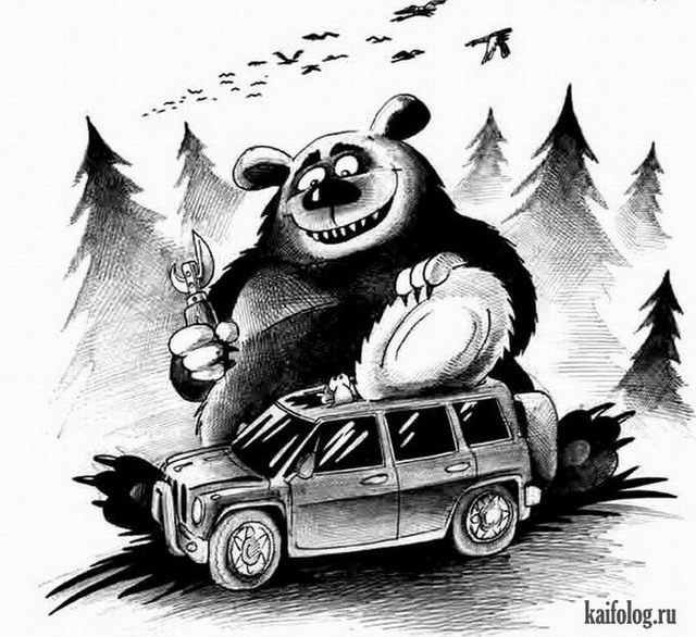 Картинки и карикатуры про медведей (60 картинок)