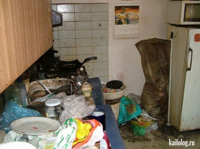 Квартира после сдачи в аренду (8 фото)