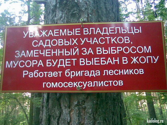 Приколы в лесу (50 фото)