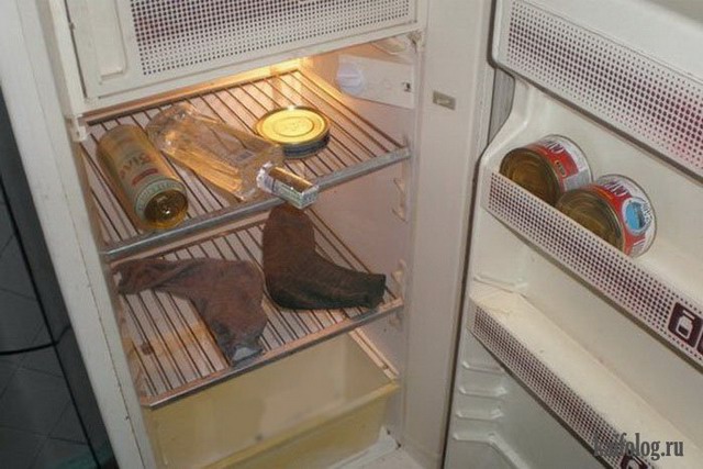 Прикольное Фото Холодильника