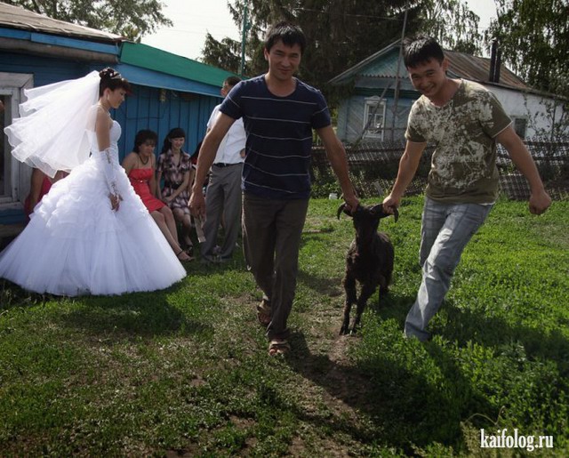Смешные свадьбы (45 фото)