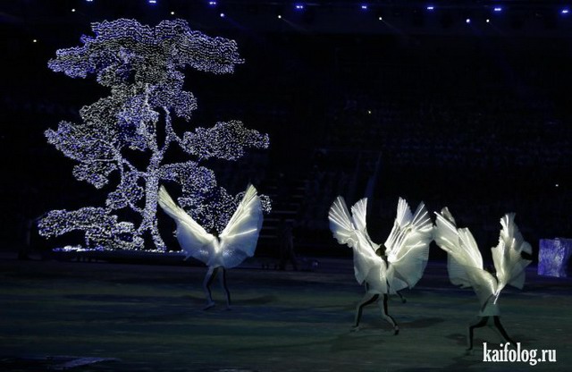 Зимняя олимпиада в Сочи 2014 (105 фото)