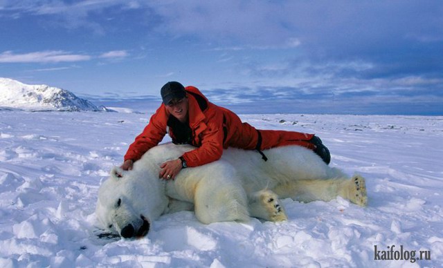 Арктика и Антарктика Пола Никлена (60 фото)