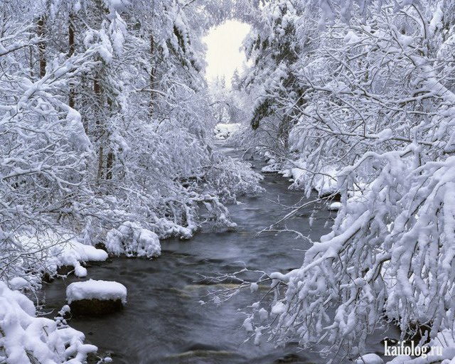 Красивые фото: зимняя сказка (60 фото)