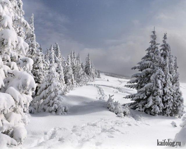 Красивые фото: зимняя сказка (60 фото)