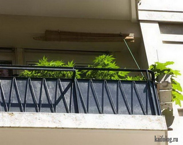Смешные балконы (50 фотографий)